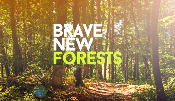 #BraveNewForests