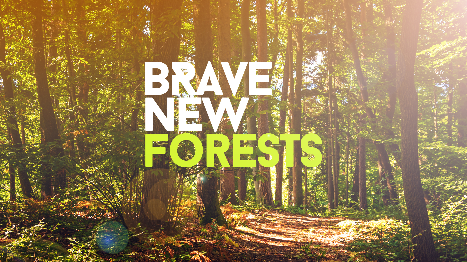 #BraveNewForests