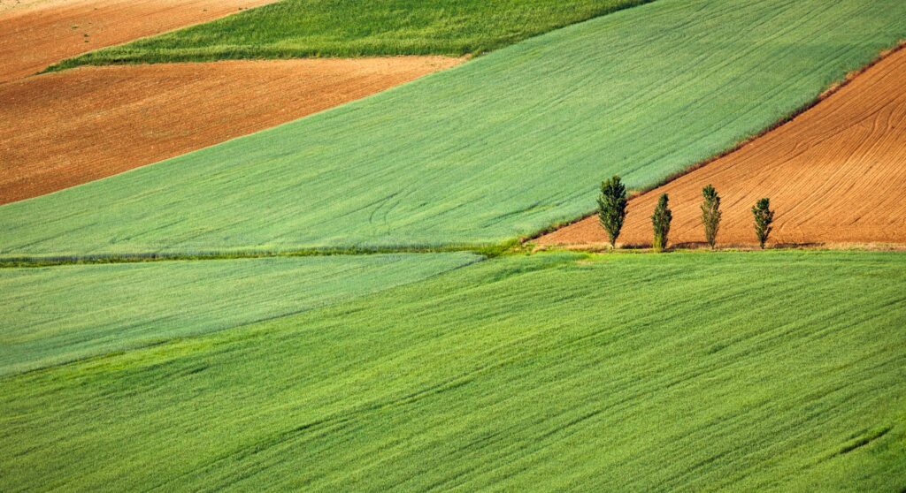 #BraveNewAgriculture