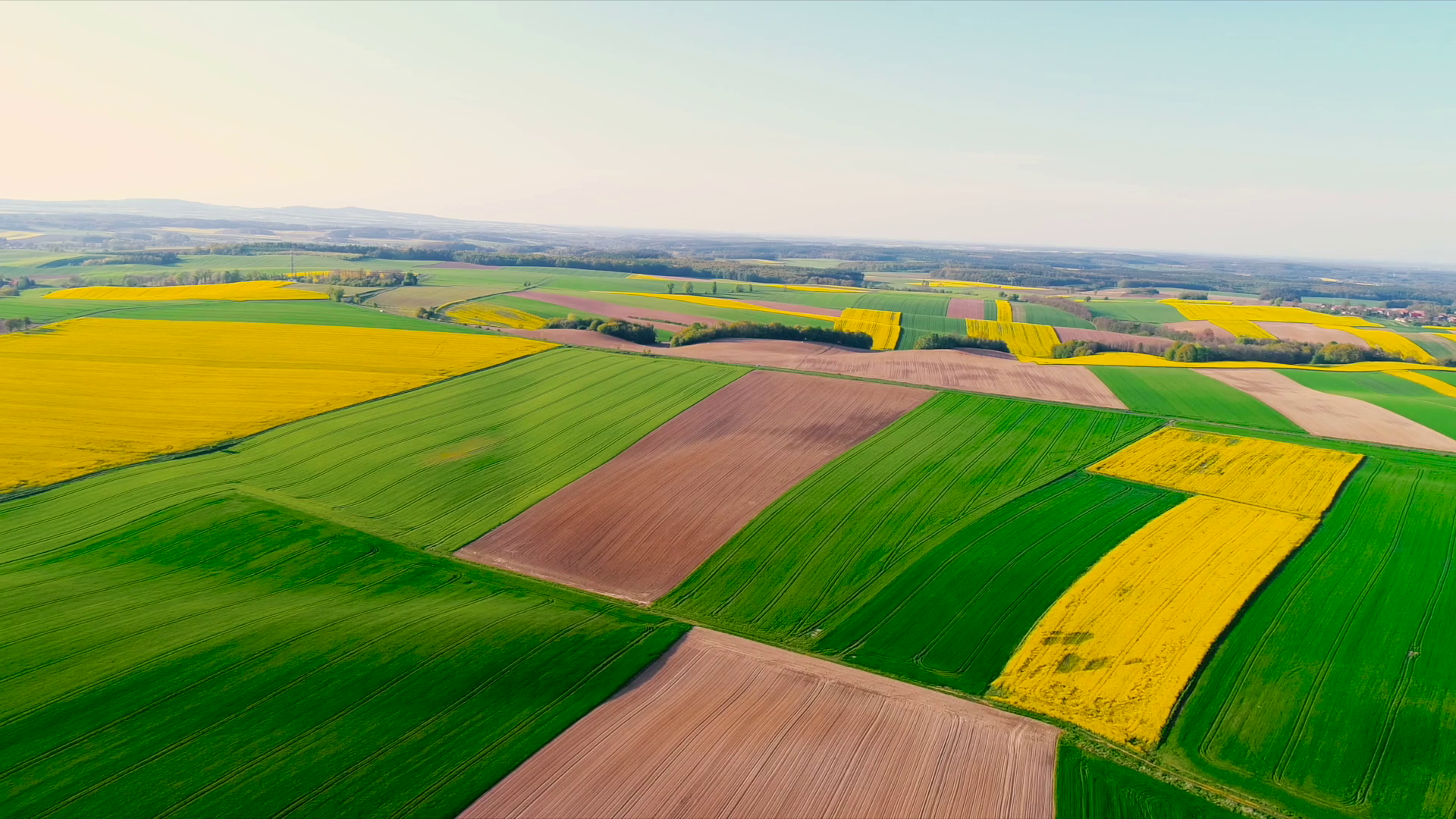 #BraveNewAgriculture