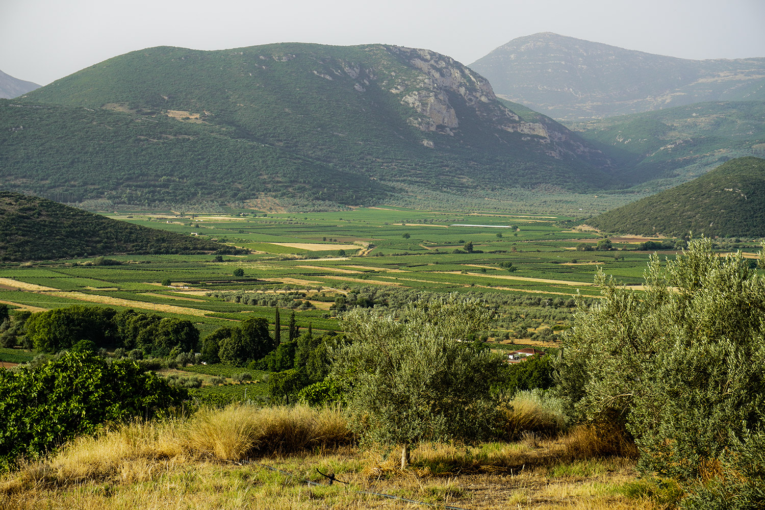 Μεγάλες Μέρες Νεμέας