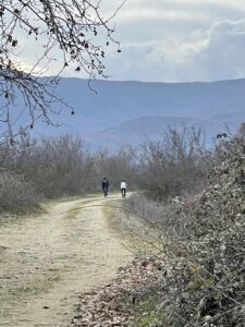 Η ζωή στην επαρχία