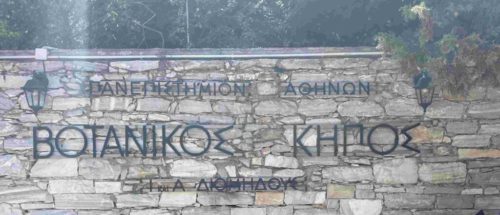 Βοτανικός Κήπος