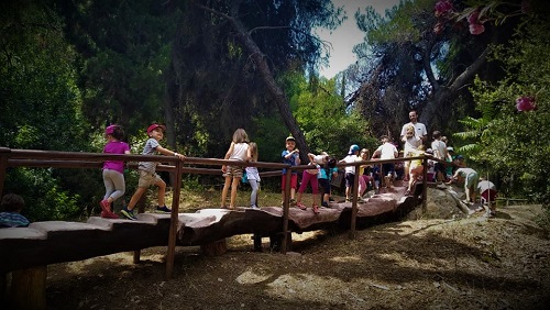 Summer Camp