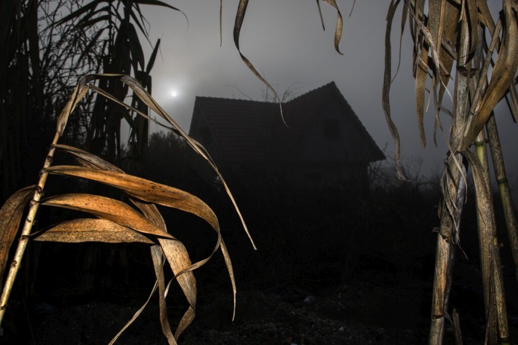 Σταύρος Σταματίου