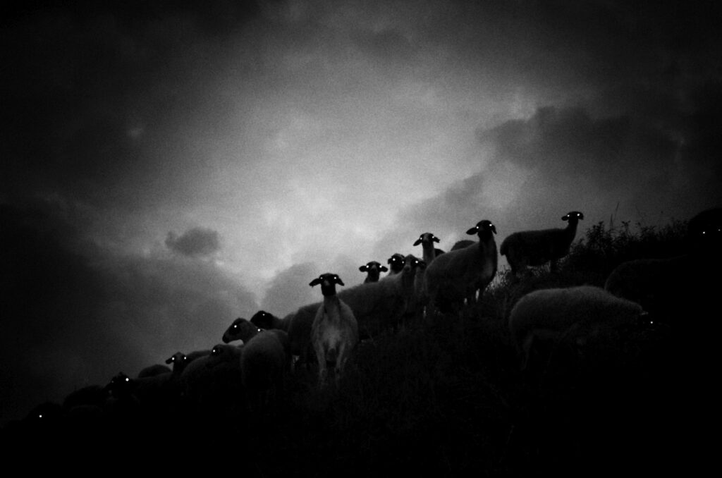 Σταύρος Σταματίου