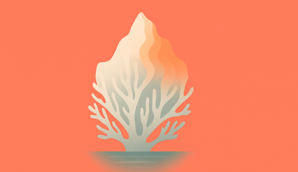 A coral in flames