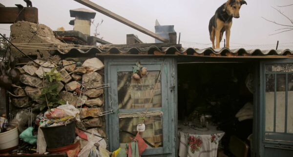 Φωτογράφος του Μήνα | Γιάννης Κωσταρής