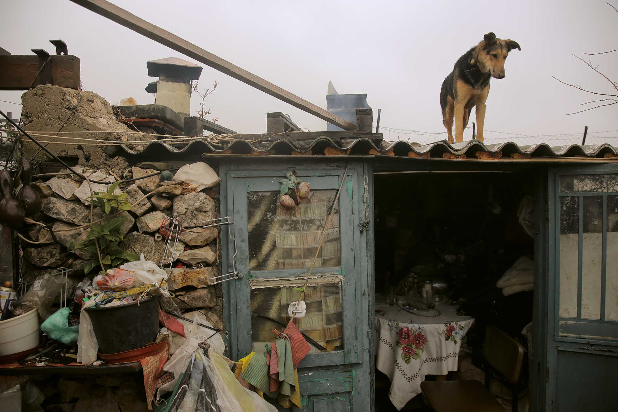 Φωτογράφος του Μήνα | Γιάννης Κωσταρής