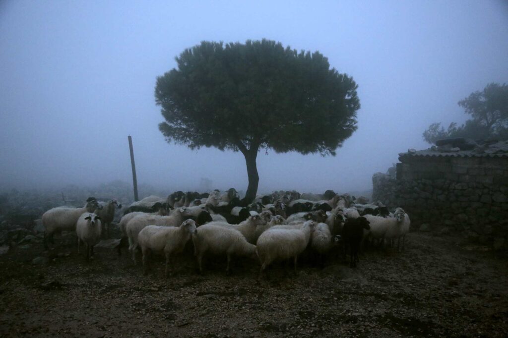 Φωτογράφος του Μήνα | Γιάννης Κωσταρής