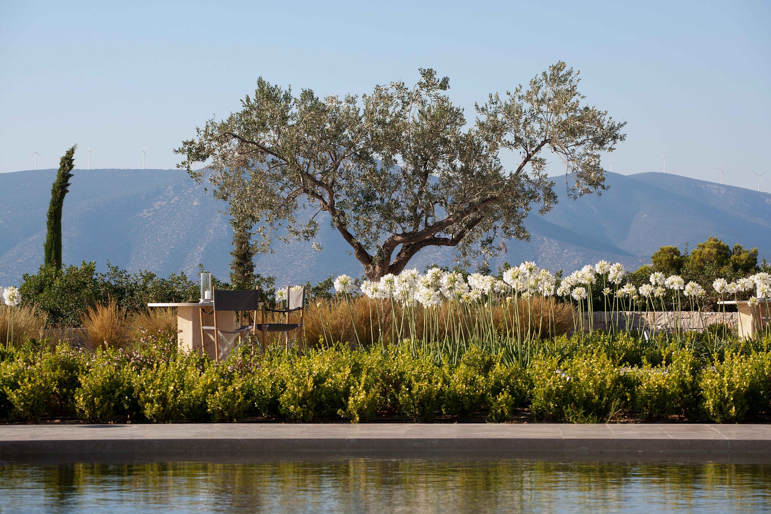 Θωμάς Δοξιάδης