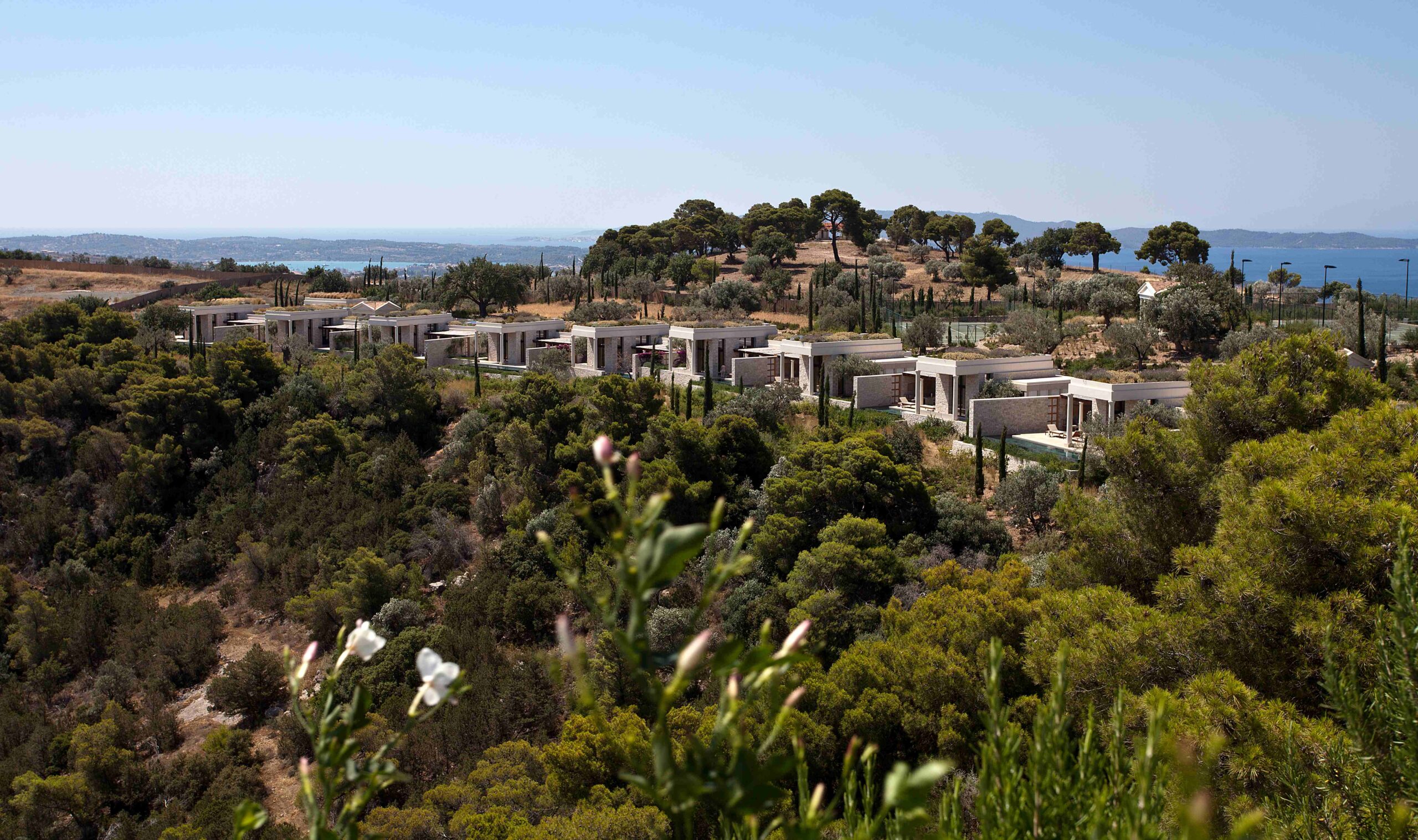 Θωμάς Δοξιάδης