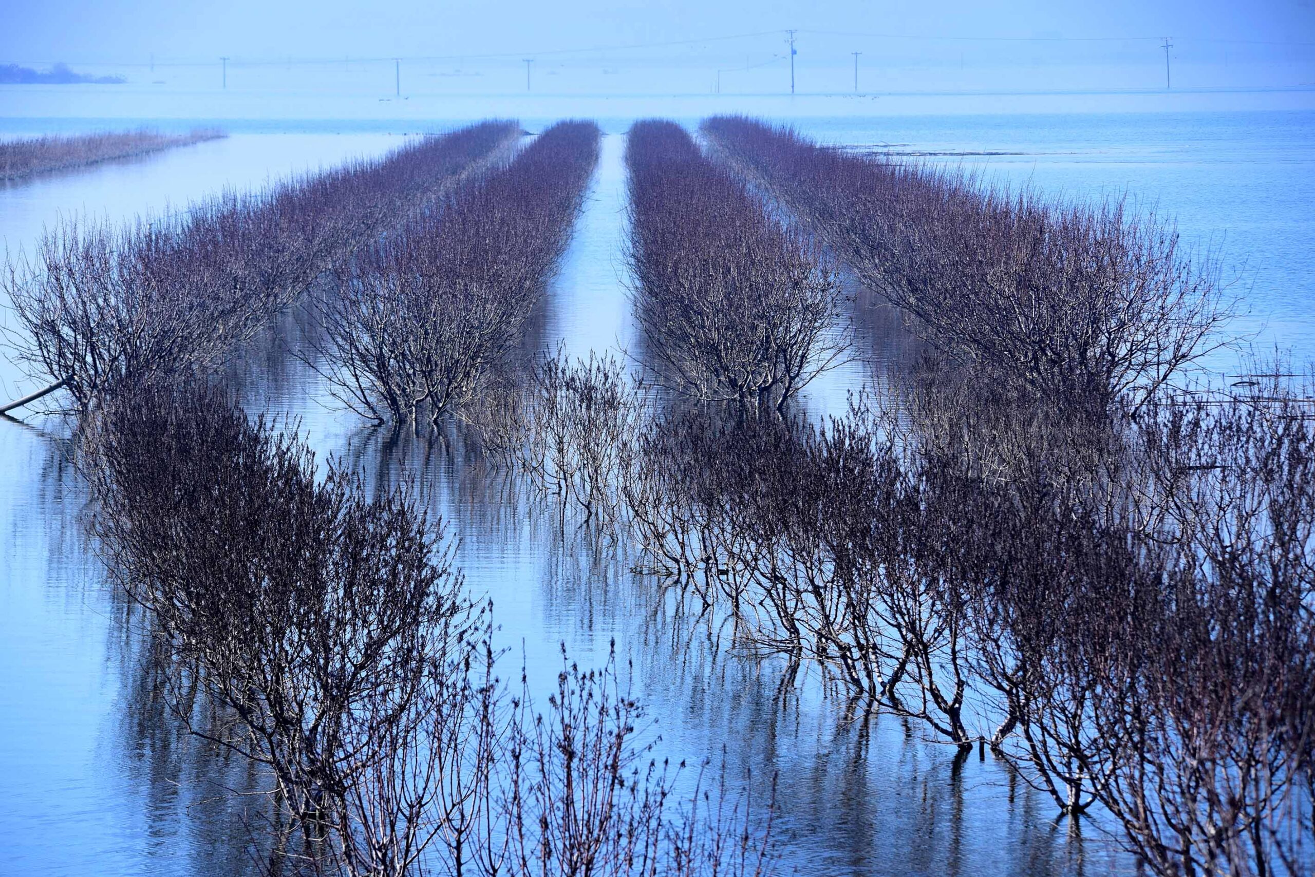 «Πλημμυροχρωμία»
