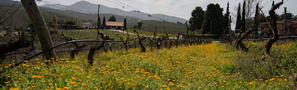 Παιδική Ατζέντα