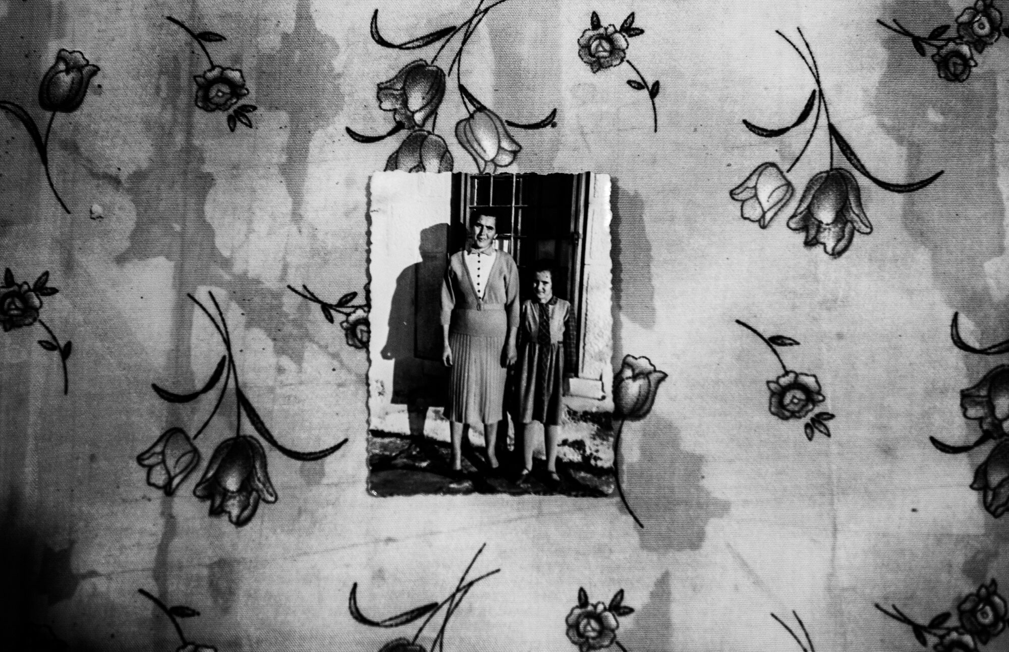 Γεωργία Πανάκια