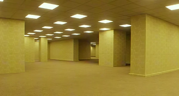 «Backrooms»