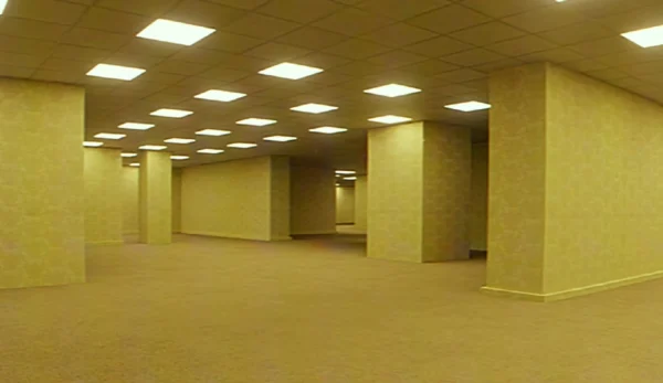 «Backrooms»