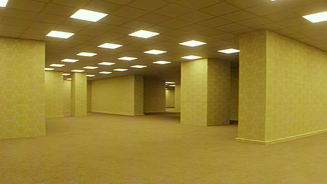 «Backrooms»