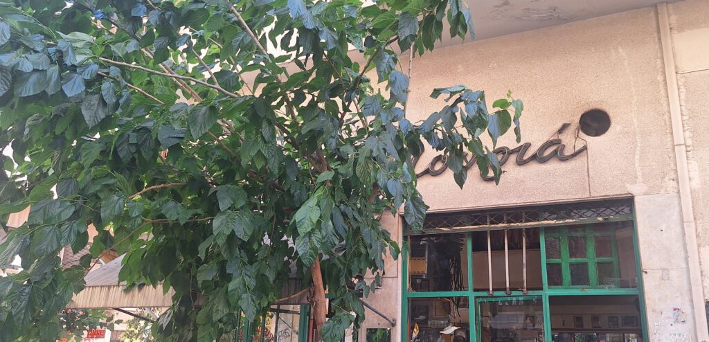 Καφενείο Μουριά